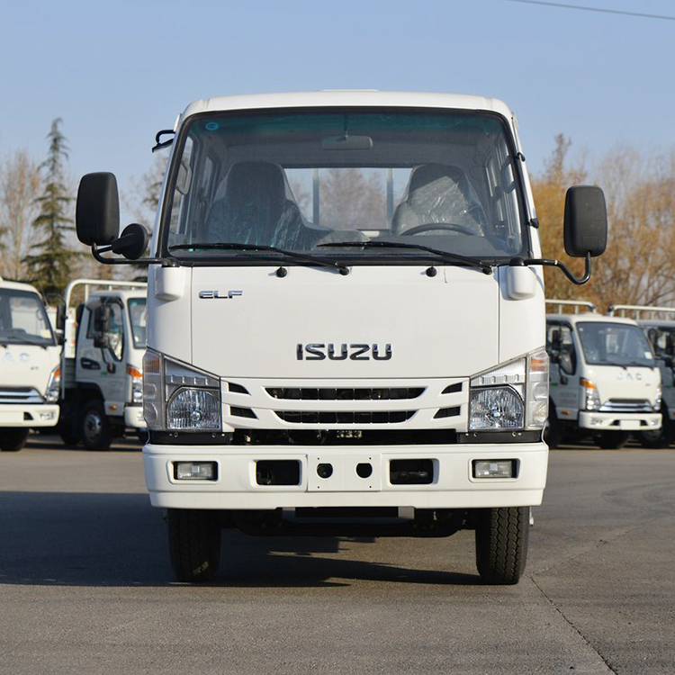 ISUZU 100P Double cabin truck